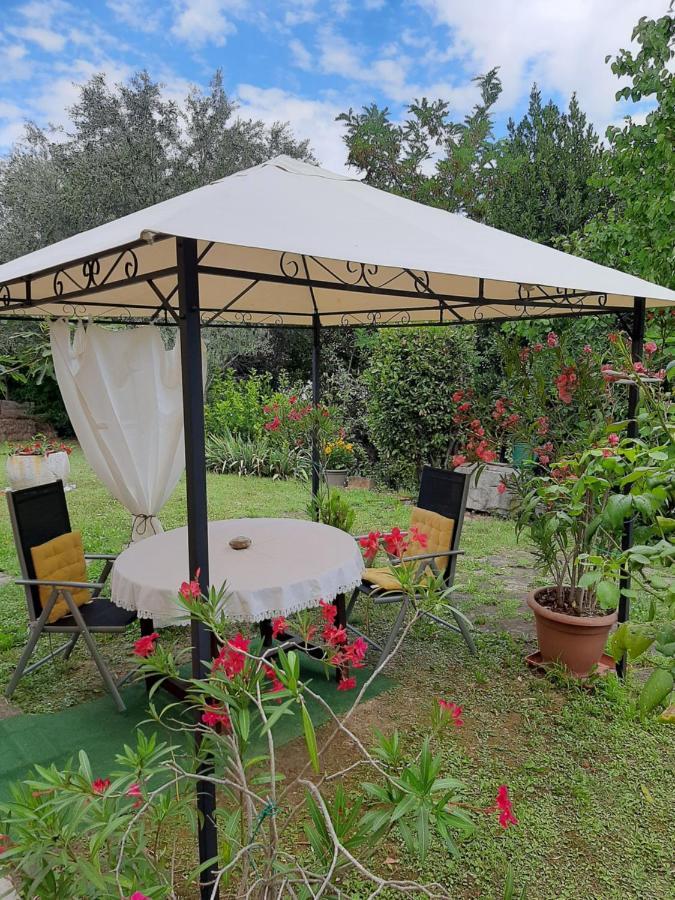 Studio With Garden Near The Sea Копер Экстерьер фото
